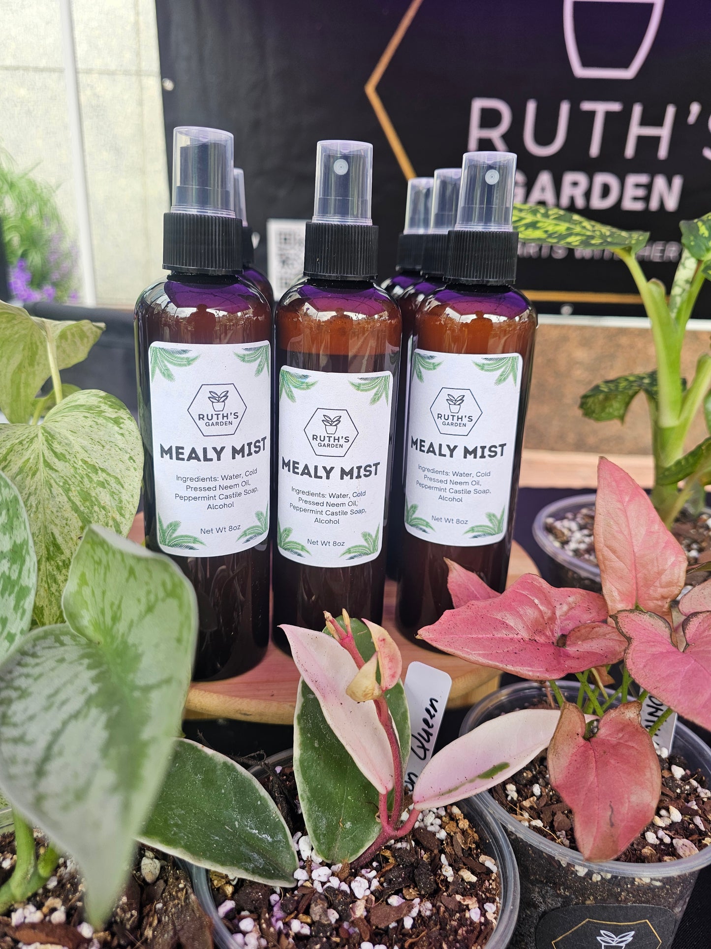 Mealy Mist Spray