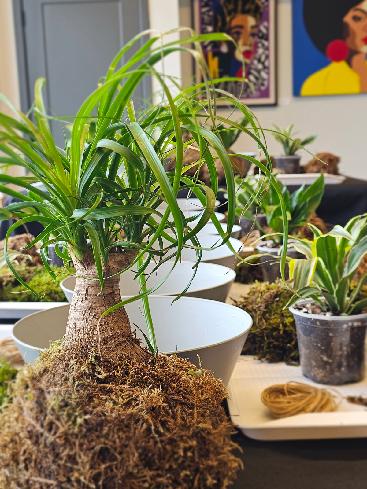 Kokedama & Me Workshop 11/1
