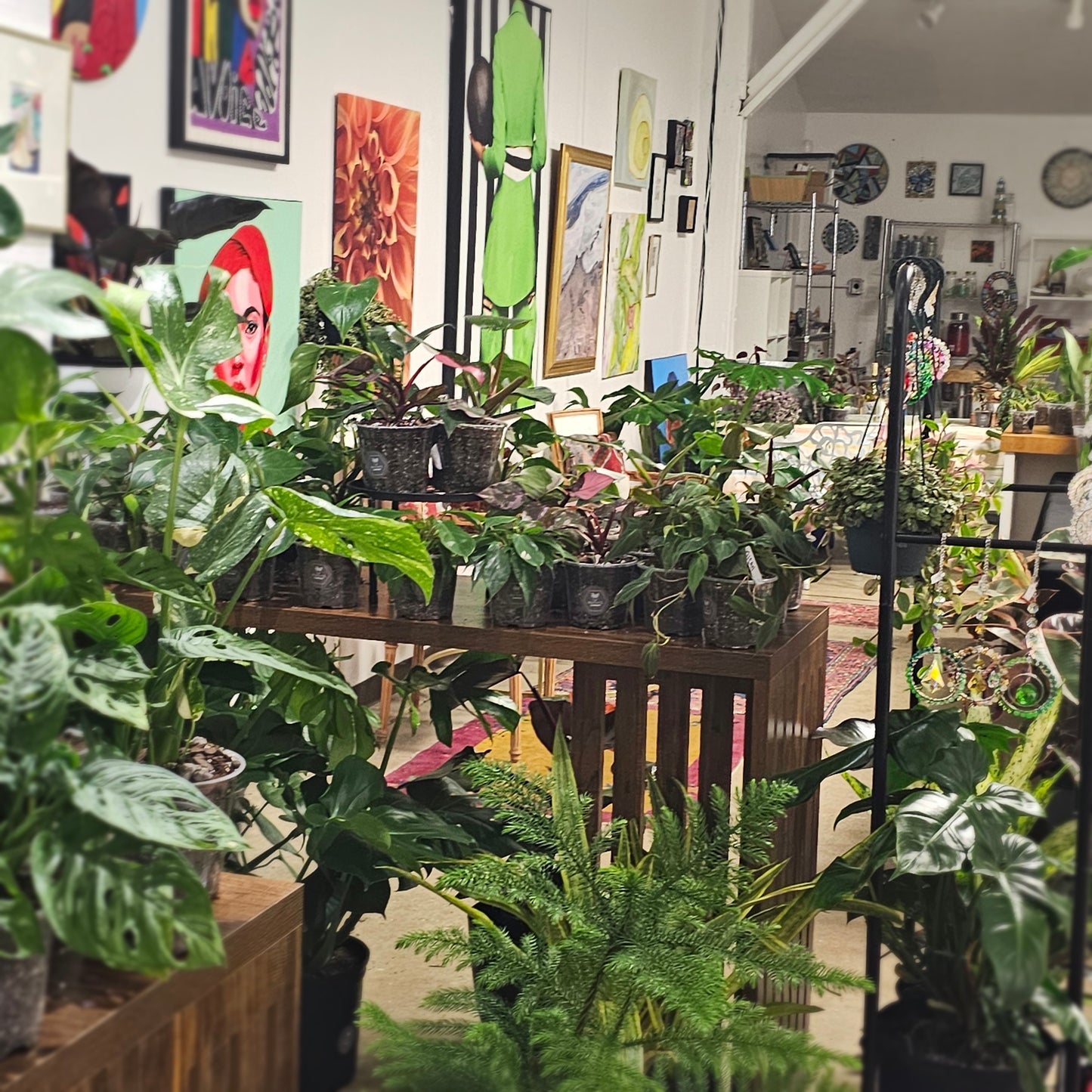 Next Date: 7/24 Botanical Wind Down