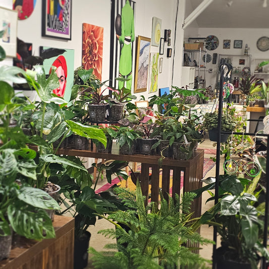 Next Date: 7/24 Botanical Wind Down