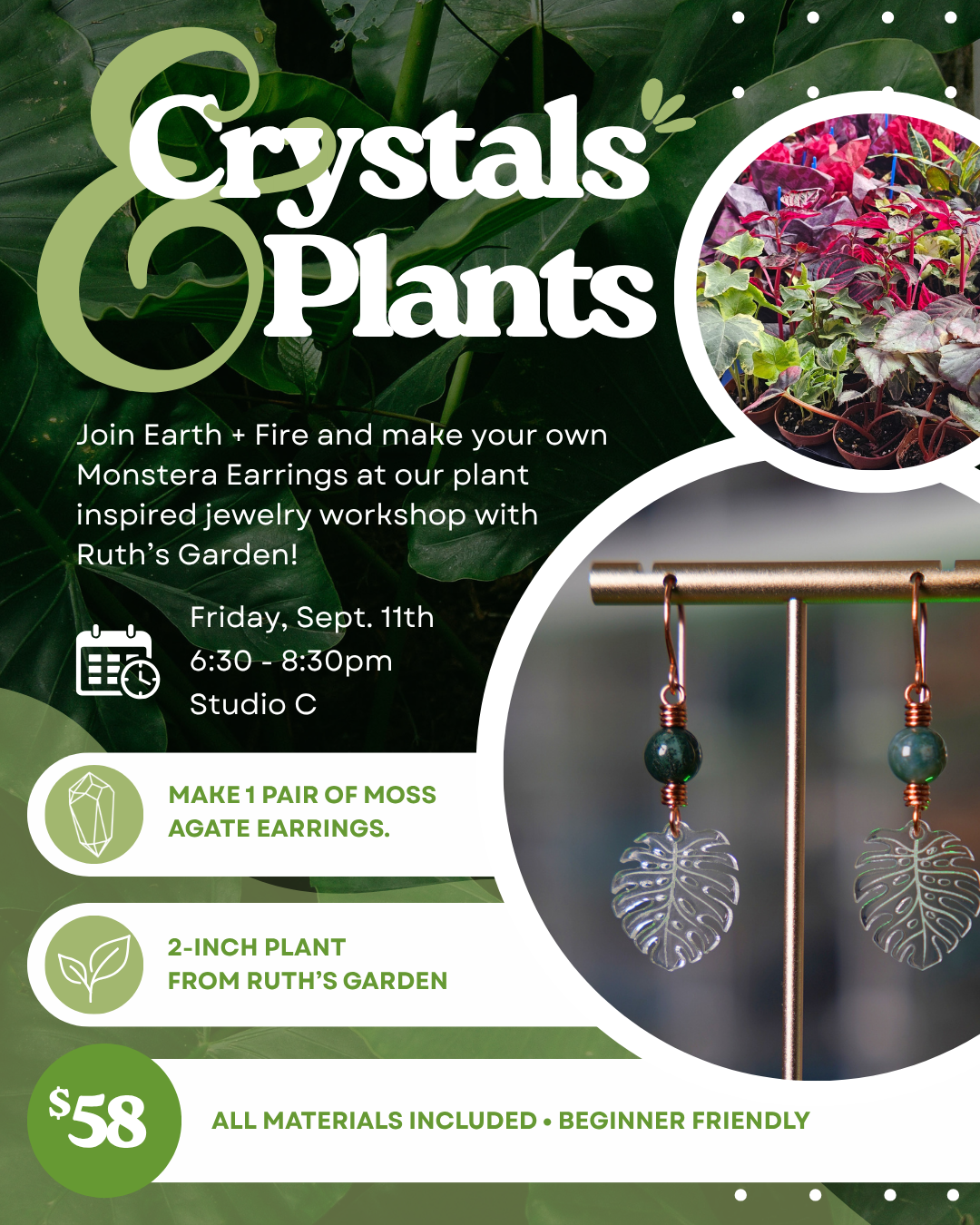Crystals & Plants Workshop with Earth & Fire