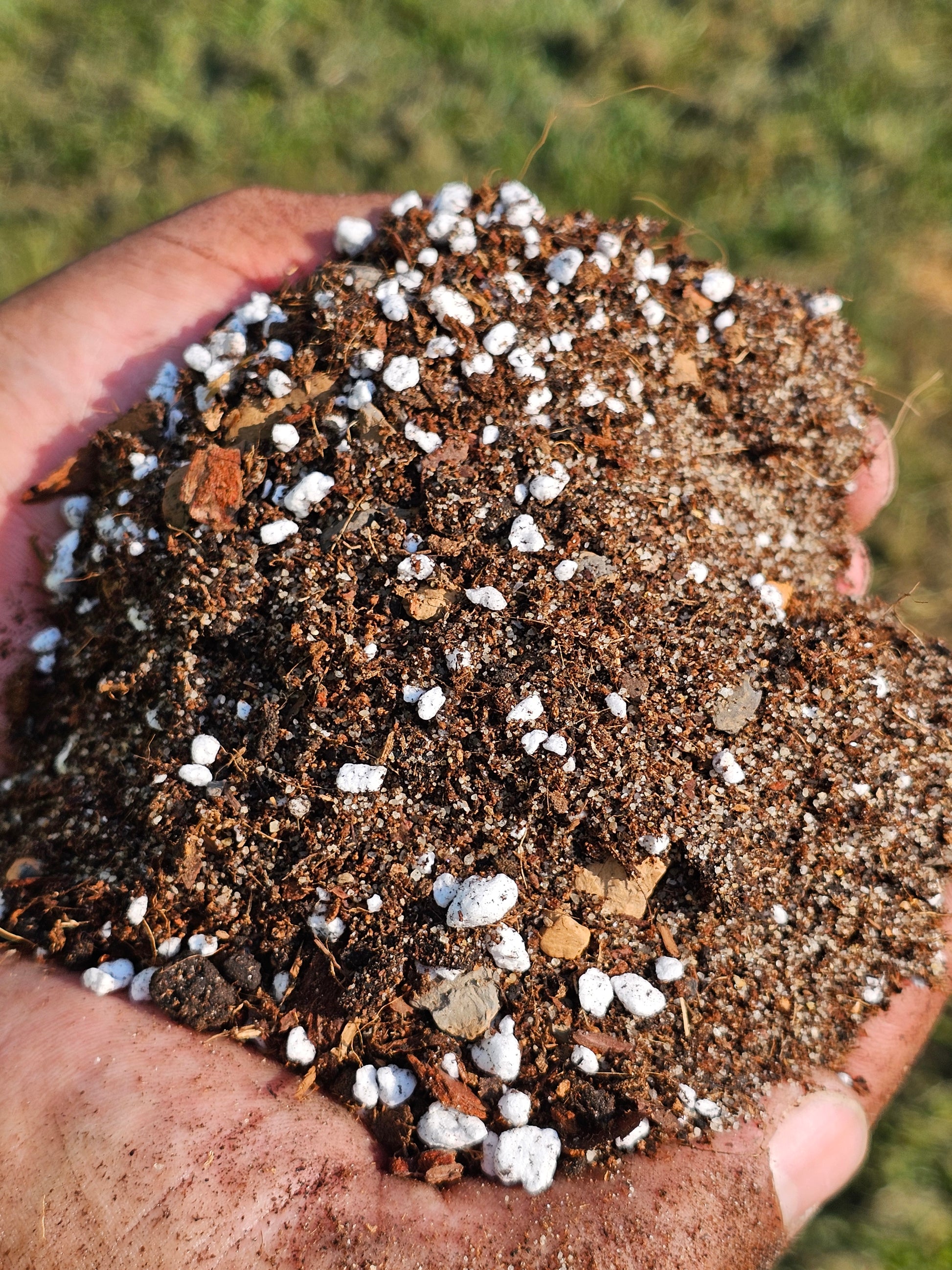 cactus mix soil Desert Dirt – Ruth's Garden
