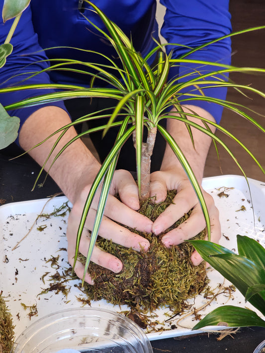 Kokedama & Me Workshop
